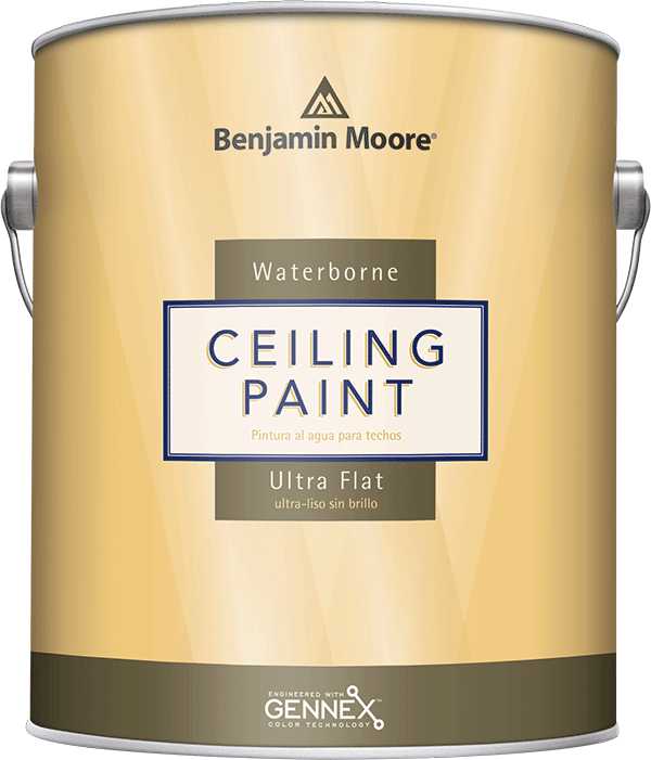 Ceiling_Paint_Interior_Ultra_Flat_508_webopt